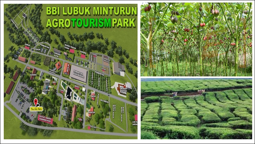 Potensi Agrowisata di Sumatera Barat